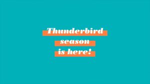 thunderbirds