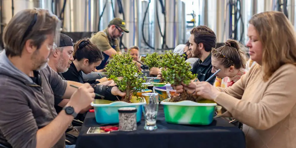 Bright Ideas Brewing